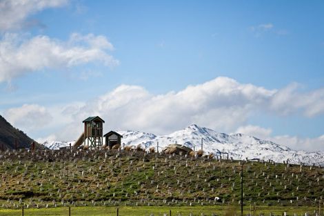 Photo of property in 13 Mcgibbon Lane, Jacks Point, 9371