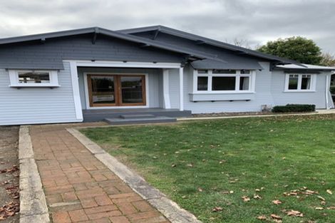 Photo of property in 19 Knowles Street, Terrace End, Palmerston North, 4410