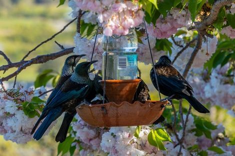 Photo of property in 82 Brooks View Heights, Tasman, Upper Moutere, 7173