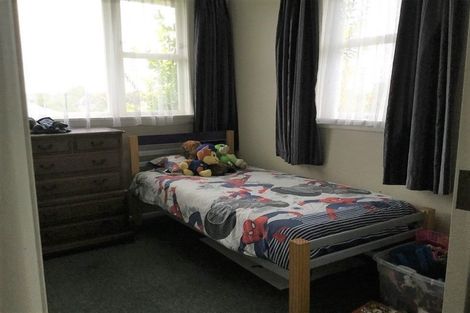 Photo of property in 16 Graham Street, Levin, 5510