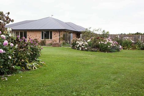 Photo of property in 1238 Two Chain Road, Swannanoa, 7475