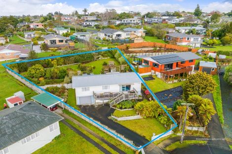 Photo of property in 10 Newell Place, Putaruru, 3411
