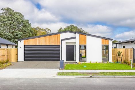 Photo of property in 29 Bastings Street, Kaiapoi, 7691