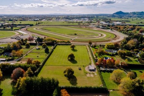 Photo of property in 25 Racecourse Road, Cambridge, 3493