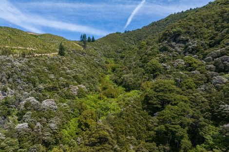 Photo of property in 785 Waikakaho Road, Tuamarina, Blenheim, 7273