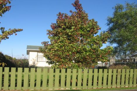 Photo of property in 41 Clausen Street, Takaro, Palmerston North, 4412