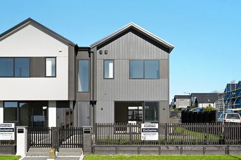 Photo of property in 44 Musselwhite Terrace, Chartwell, 3210