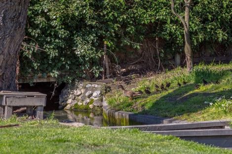 Photo of property in 187 Colombo Road, Masterton, 5810