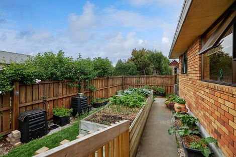 Photo of property in 283a Scarborough Street, Kaikoura, 7300