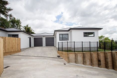 Photo of property in 16u4 Rothwell Street, Dinsdale, Hamilton, 3204