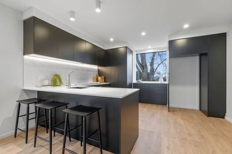 Photo of property in 1/30 Amuri Park Lane, Christchurch Central, Christchurch, 8013