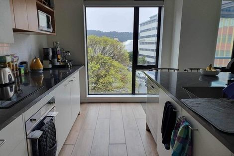 Photo of property in Vsp South, 301/168u Victoria Street, Te Aro, Wellington, 6011