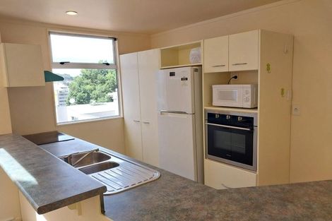 Photo of property in Fernhill Flats, 324u7 The Terrace, Te Aro, Wellington, 6011