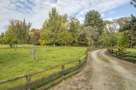 Photo of property in 366 Te Whiti Road, Homebush, Masterton, 5884