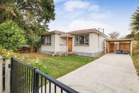 Photo of property in 113 Derby Street, Feilding, 4702