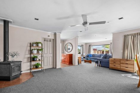 Photo of property in 25 Briar Crescent, Alexandra, 9320