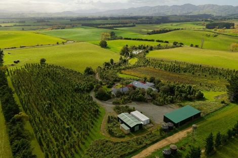 Photo of property in 185 Sinclair Road, Cheviot, 7381