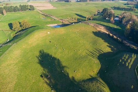 Photo of property in 180 Tipapakuku Road, Dannevirke, 4930