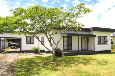 Photo of property in 75 Lahore Street, Wairoa, 4108