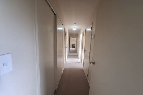 Photo of property in 11b Gray Street, Katikati, 3129