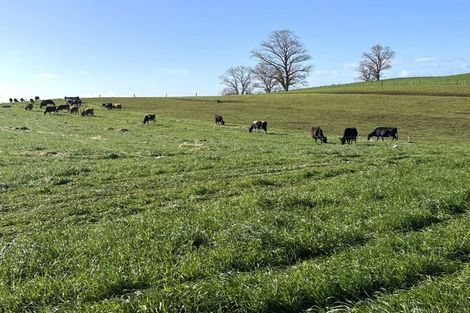 Photo of property in 233b Kio Kio Station Road, Otorohanga, 3974