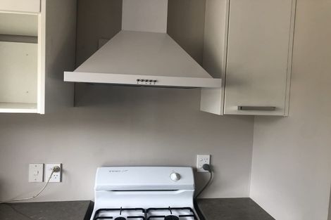 Photo of property in 191u2 Grey Street, Hamilton East, Hamilton, 3216