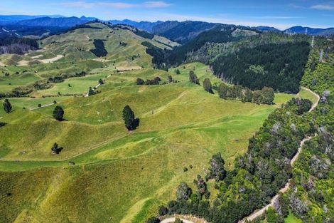 Photo of property in 109 Mcivor Road, Rotoma, Whakatane, 3192
