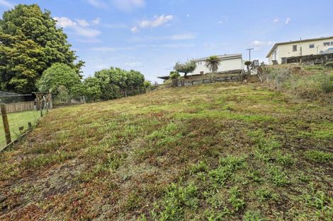 Photo of property in 17 Karaka Road, Otorohanga, 3900