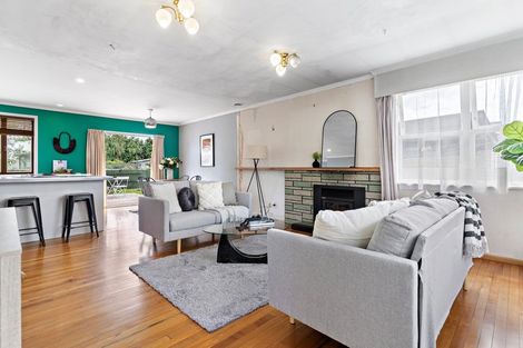 Photo of property in 49a Cornwall Street, Masterton, 5810