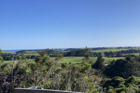 Photo of property in 41a Wharekauri Road, Mimi, Urenui, 4377