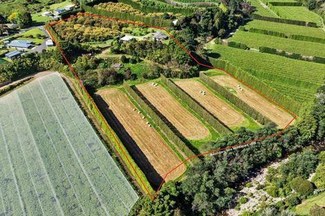 Photo of property in 85 Wharawhara Road, Tahawai, Katikati, 3178