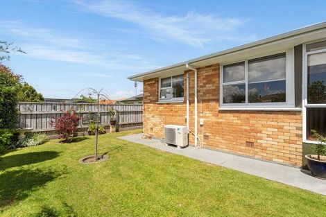 Photo of property in 2 Rimu Street, Gate Pa, Tauranga, 3112