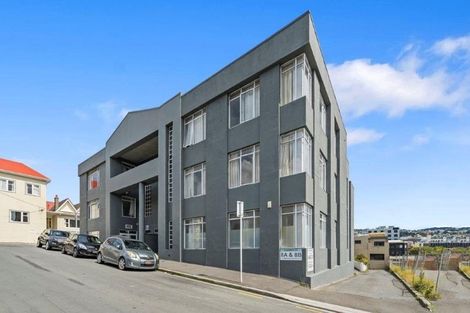Photo of property in 8u6d Lipman Street, Mount Victoria, Wellington, 6011