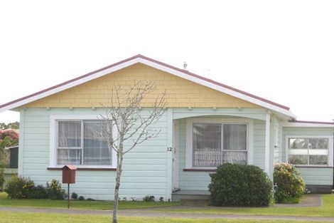 Photo of property in 12 Antonio Street, Stratford, 4332