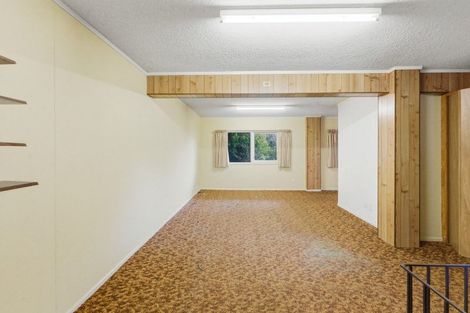 Photo of property in 17a Barclay Street, Ferndale, New Plymouth, 4310