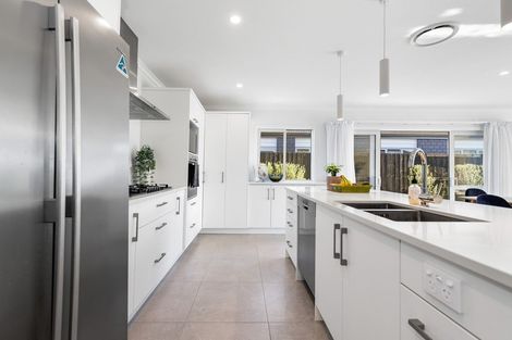 Photo of property in 3 Lissaman Place, Chartwell, Hamilton, 3210