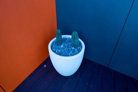 Photo of property in 197 Sutherland Road, Lyall Bay, Wellington, 6022