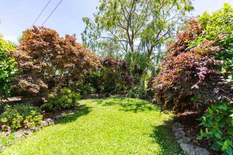 Photo of property in 55 Jellicoe Road, Ruawai, 0530