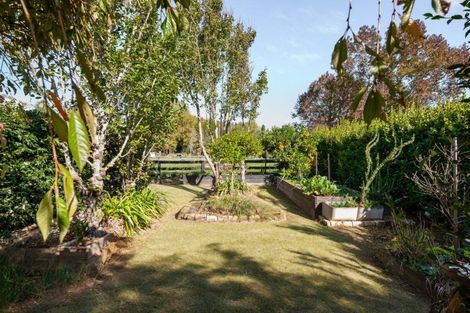 Photo of property in 11 Webster Road, Matangi, Hamilton, 3284