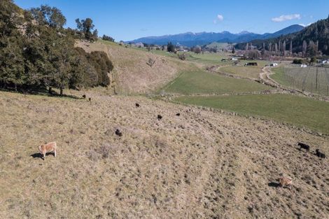 Photo of property in 499 Tadmor Valley Road, Tapawera, Wakefield, 7096