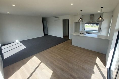 Photo of property in 20 Muldowney Drive, Rolleston, 7614