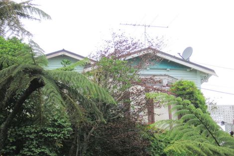 Photo of property in 5 Mana Street, Vogeltown, Wellington, 6021
