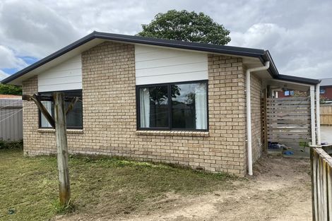 Photo of property in 17 Hockin Place, Fairfield, Hamilton, 3214