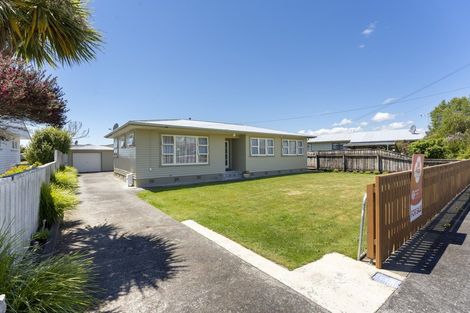 Photo of property in 37 Green Avenue, Levin, 5510