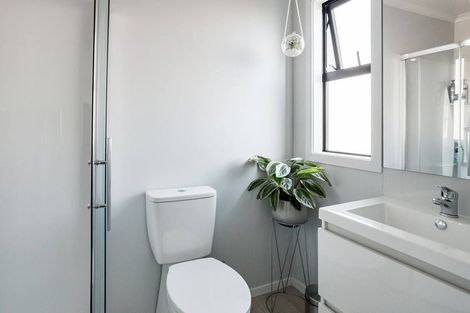 Photo of property in 3u3 Charlemont Street, Whitiora, Hamilton, 3200