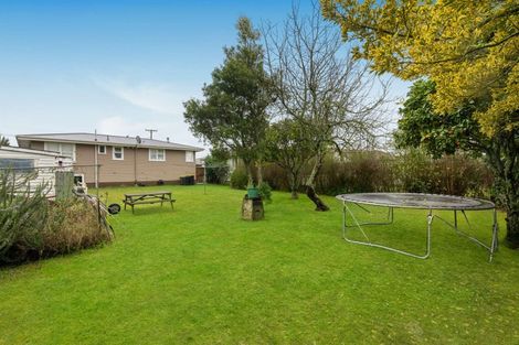 Photo of property in 305 Hazelmere Crescent, Te Awamutu, 3800