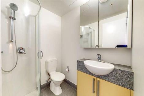 Photo of property in Dual Apartments, 406/142u Vivian Street, Te Aro, Wellington, 6011