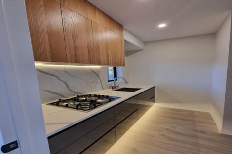 Photo of property in 13 Grand Ridge Avenue, Flat Bush, Auckland, 2019