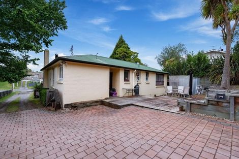 Photo of property in 55 Hinemoa Avenue, Taupo, 3330