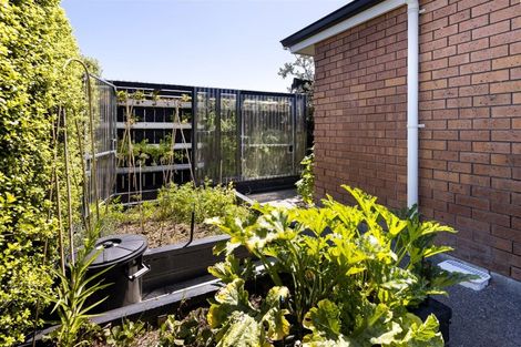 Photo of property in 33a Uxbridge Street, Renwick, 7204